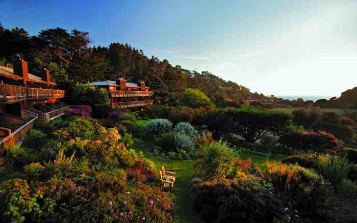 The Best Fully Vegan Hotels Around the World - Yum Vegan Blog Hotels with vegan dining options