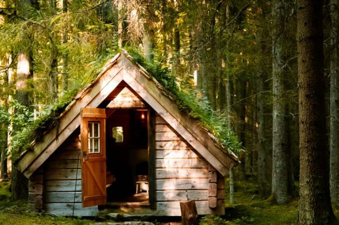Discover The Best Eco Friendly Hotels: A Sustainable Stay For The ... Eco-friendly hotel accommodations